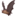��