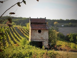 domaine de matens.jpg