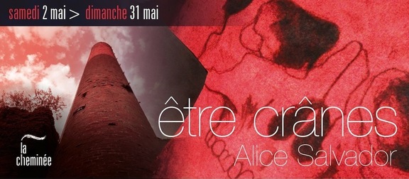 Expo être crâne - Alice Salvador - Matis Leggiadro