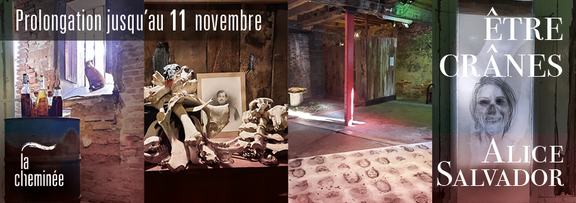 Expo Alice Salvador 9 octobre 7 novembre